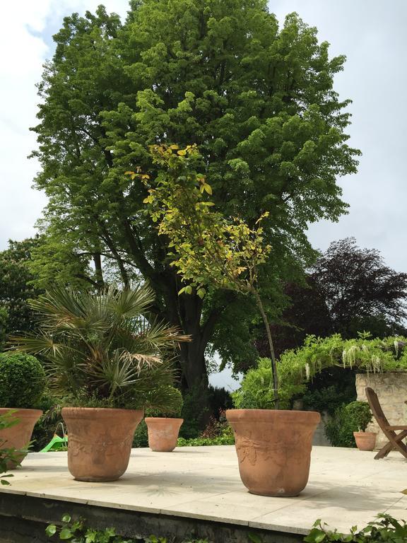 Le Castel Ecossais Bed & Breakfast Senlis  Bagian luar foto